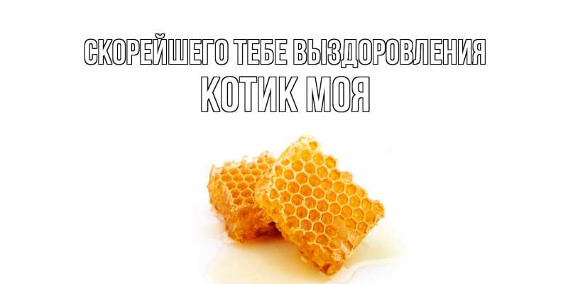 Картинка Скорейшего тебе выздоровления, Котик моя