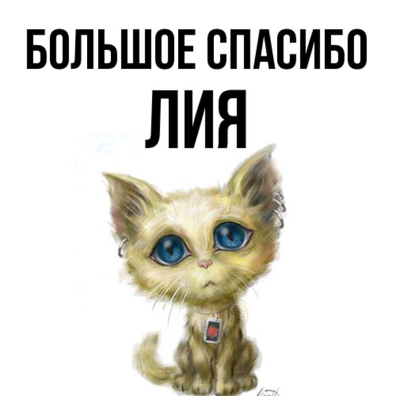 Картинка Большое спасибо, Лия