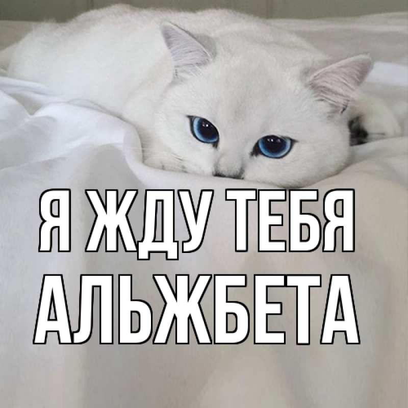 Картинка Я жду тебя, Альжбета