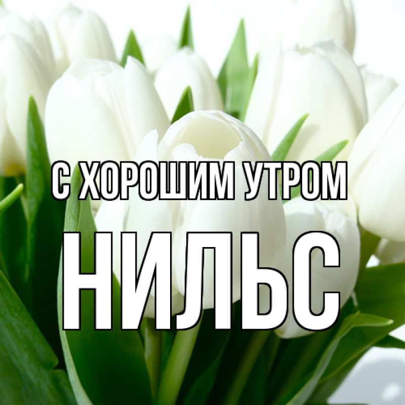 Картинка С хорошим утром, Нильс