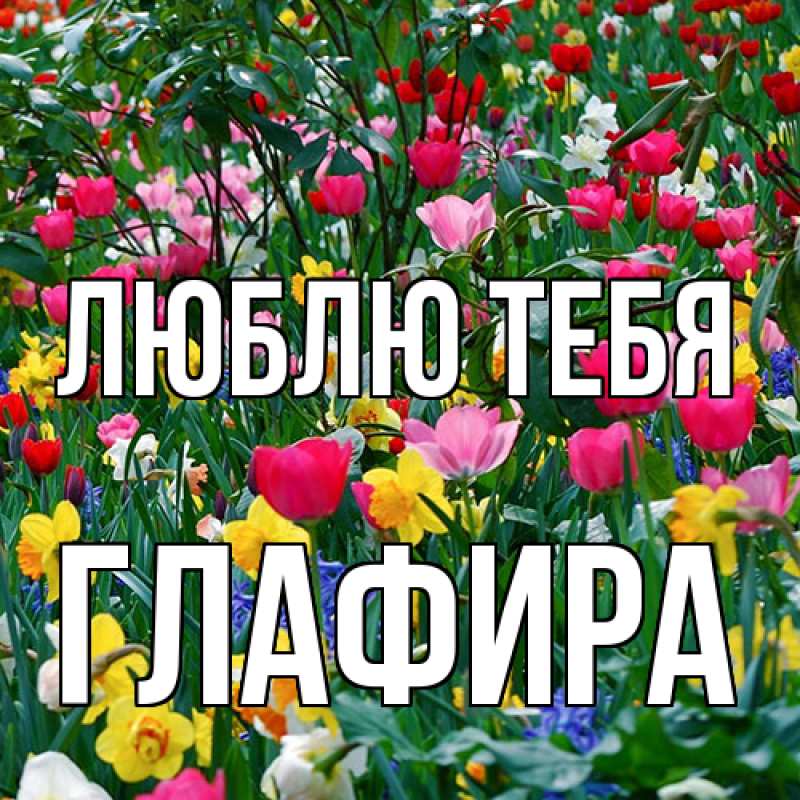 Картинка Люблю тебя, Глафира