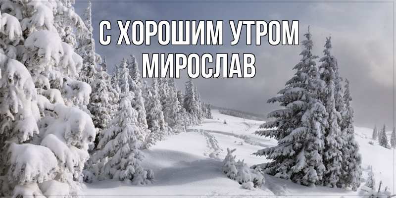 Картинка С хорошим утром, Мирослав