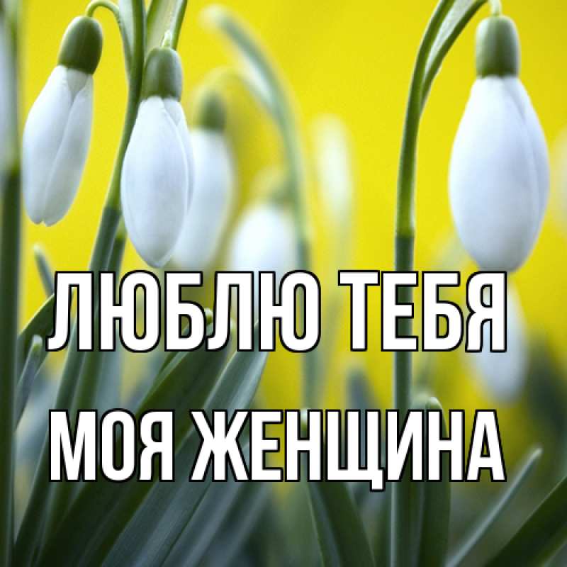 Картинка Люблю тебя, Моя женщина
