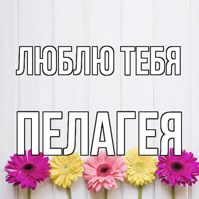 Картинка Люблю тебя, Пелагея