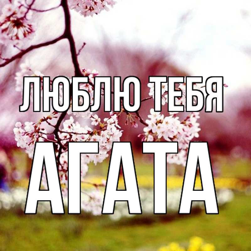 Картинка Люблю тебя, Агата