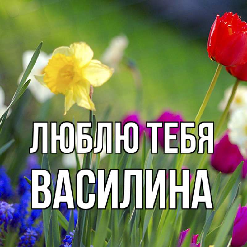 Картинка Люблю тебя, Василина