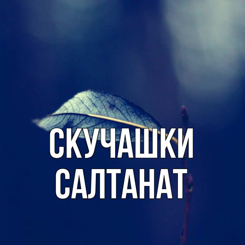 Картинка Скучашки, Салтанат