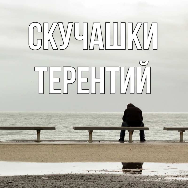 Картинка Скучашки, Терентий