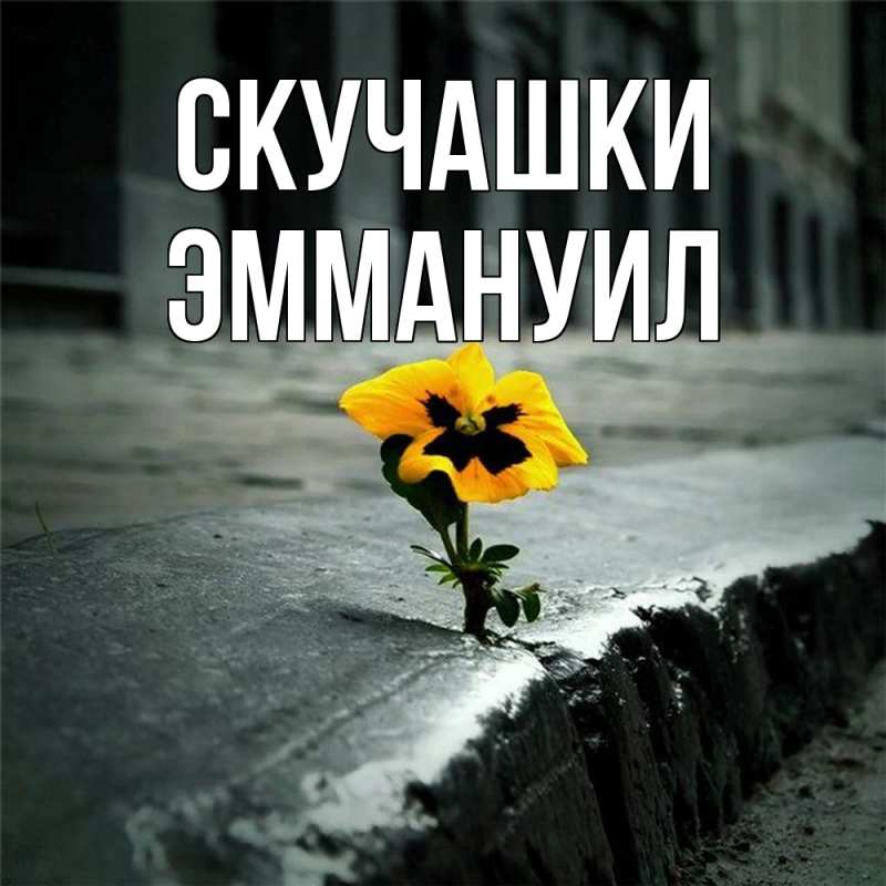 Картинка Скучашки, Эммануил