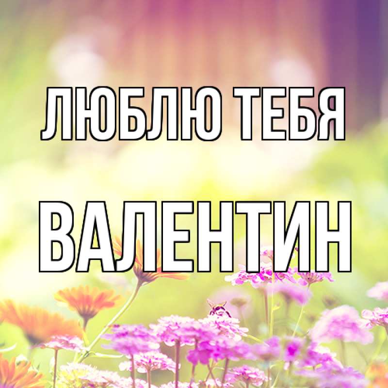 Картинка Люблю тебя, Валентин