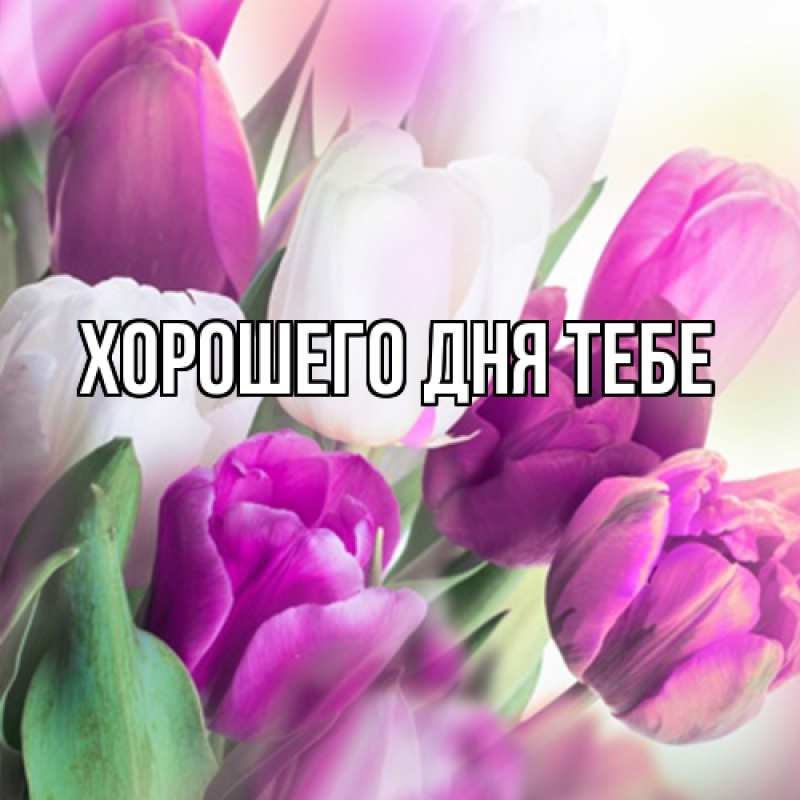 Картинка Люблю тебя, Мирдза