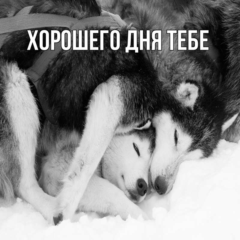 Открытка с именем, Роберта, Обнимашки