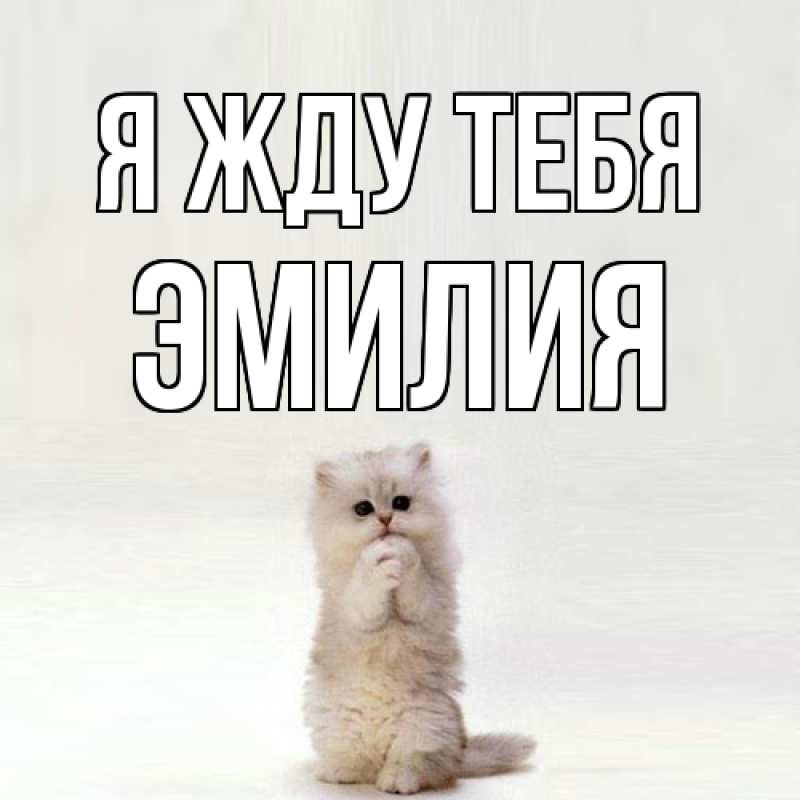 Открытка с именем, Эмилия, Я жду тебя