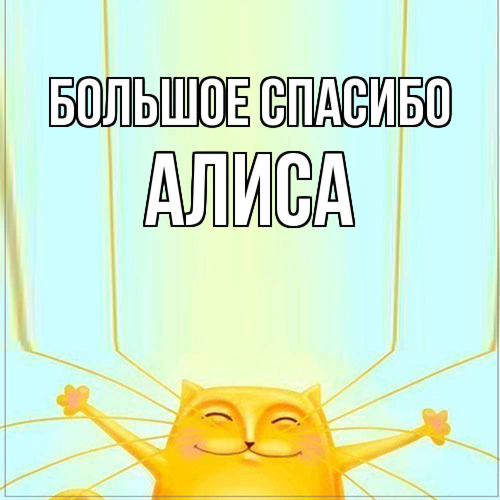 Открытка на каждый день с именем, Алиса Большое спасибо кот с усами благодарит Прикольная открытка с пожеланием онлайн скачать бесплатно 