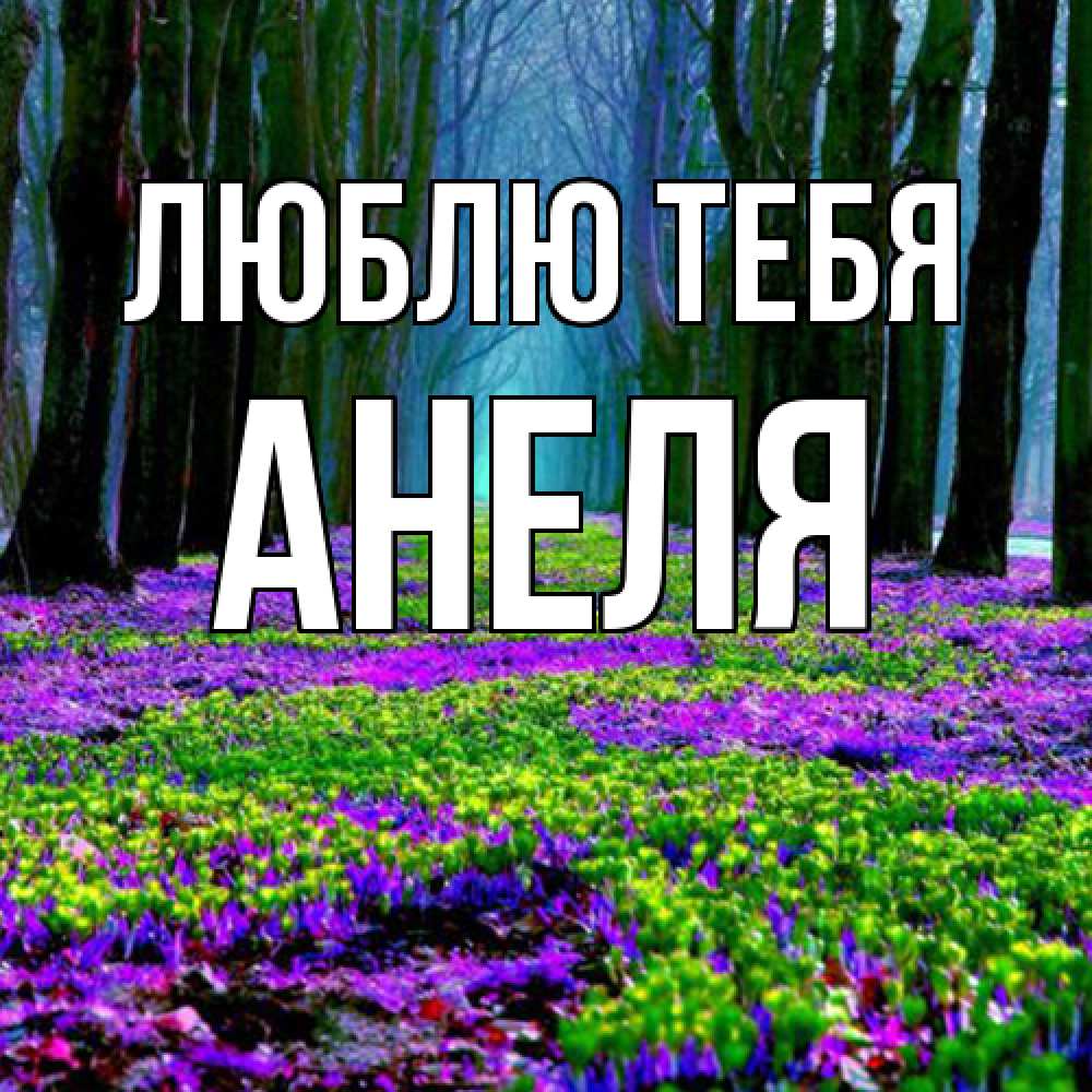 Открытка на каждый день с именем, Анеля Люблю тебя фиолетовые цветы в лесу 1 Прикольная открытка с пожеланием онлайн скачать бесплатно 