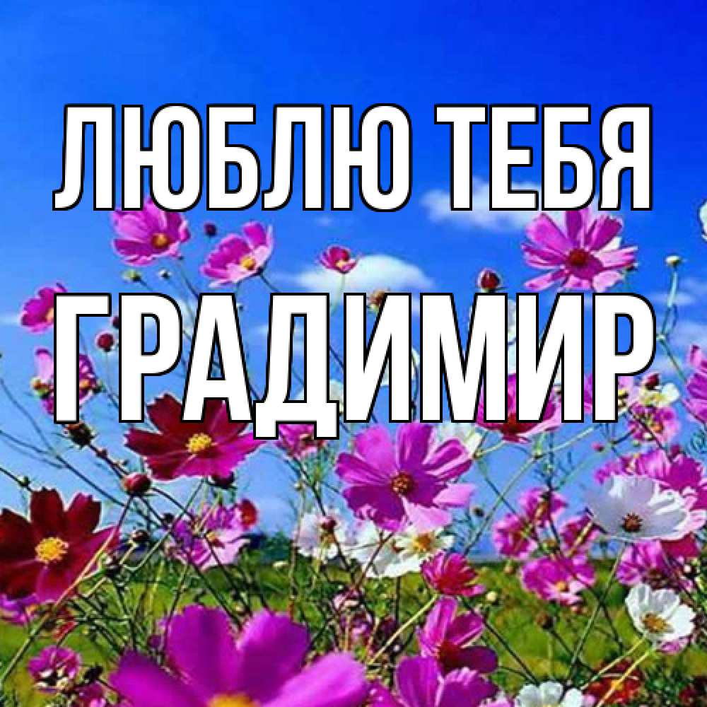 Открытка на каждый день с именем, Градимир Люблю тебя цветы Прикольная открытка с пожеланием онлайн скачать бесплатно 