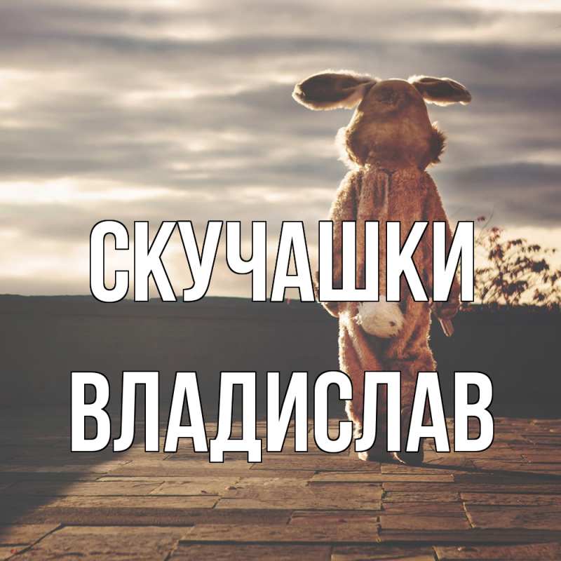 Картинка Скучашки, Владислав