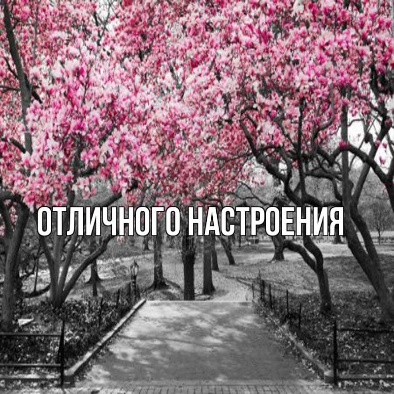 Картинка Обнимашки, Кисуля моя