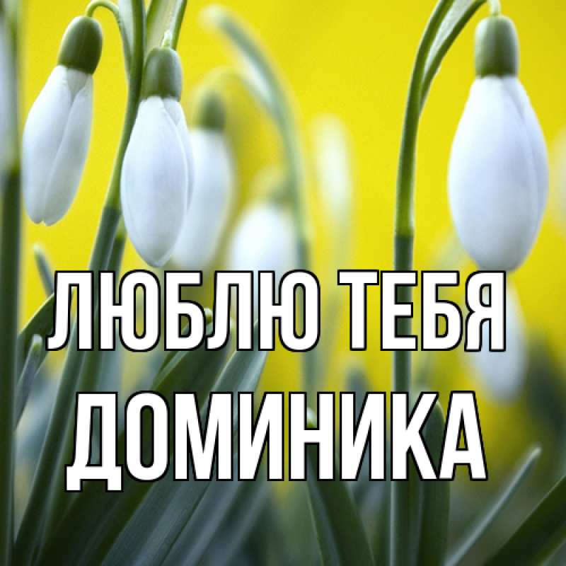Картинка Люблю тебя, Доминика