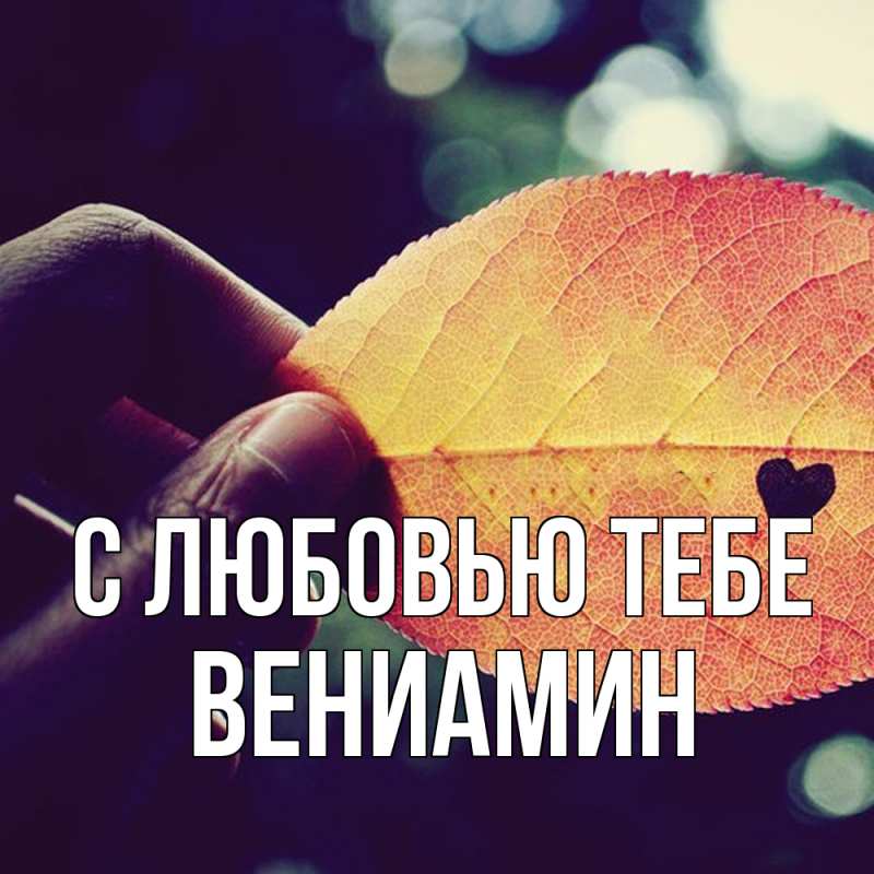 Картинка С любовью тебе, Вениамин