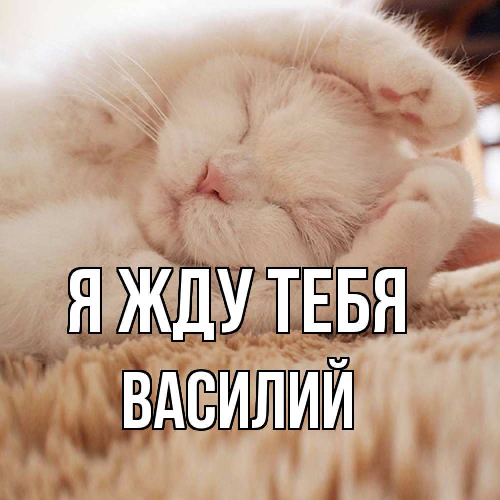 Открытка на каждый день с именем, Василий Я жду тебя для любимой девушки милота Прикольная открытка с пожеланием онлайн скачать бесплатно 