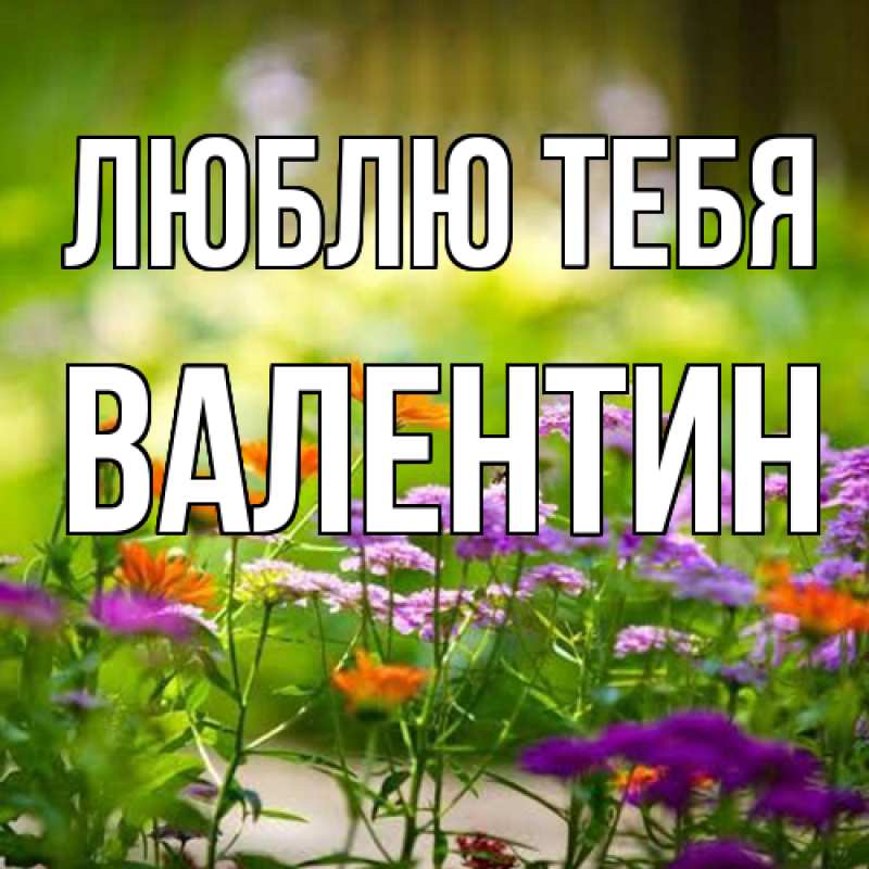 Картинка Люблю тебя, Валентин
