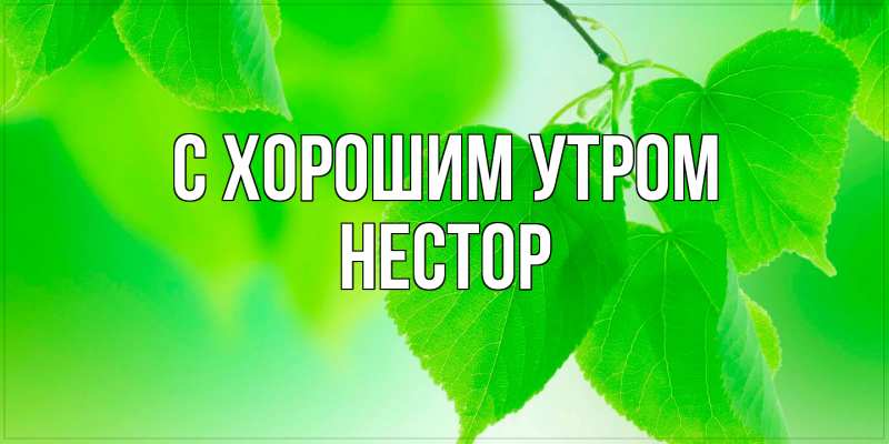 Картинка С хорошим утром, Нестор