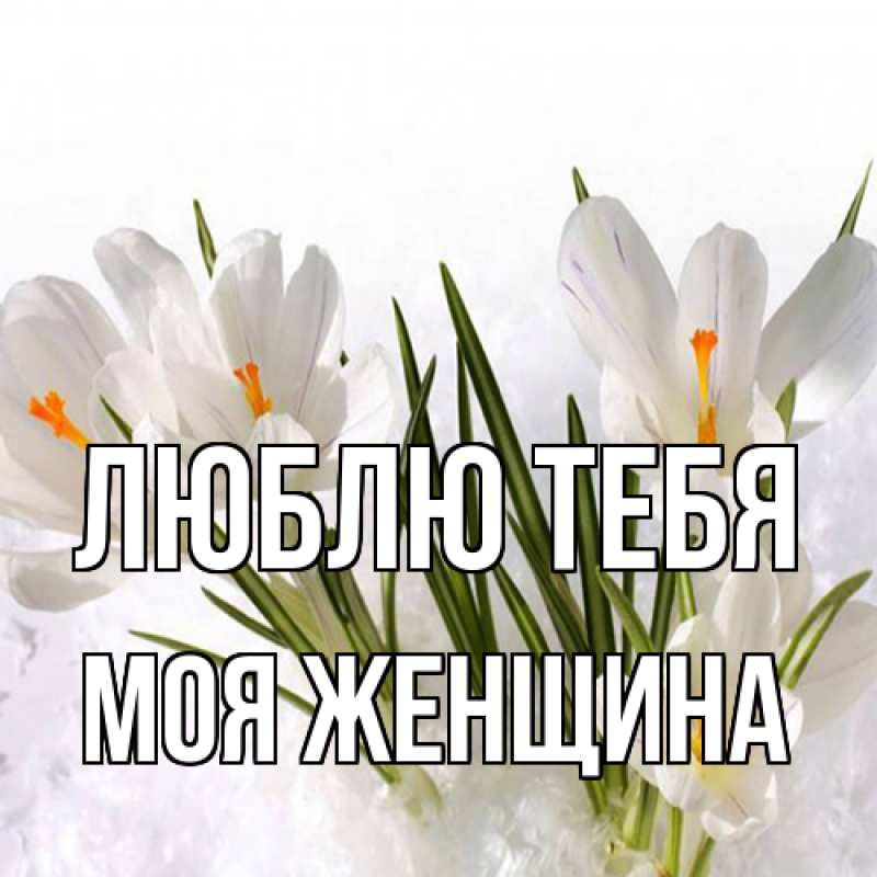 Картинка Люблю тебя, Моя женщина