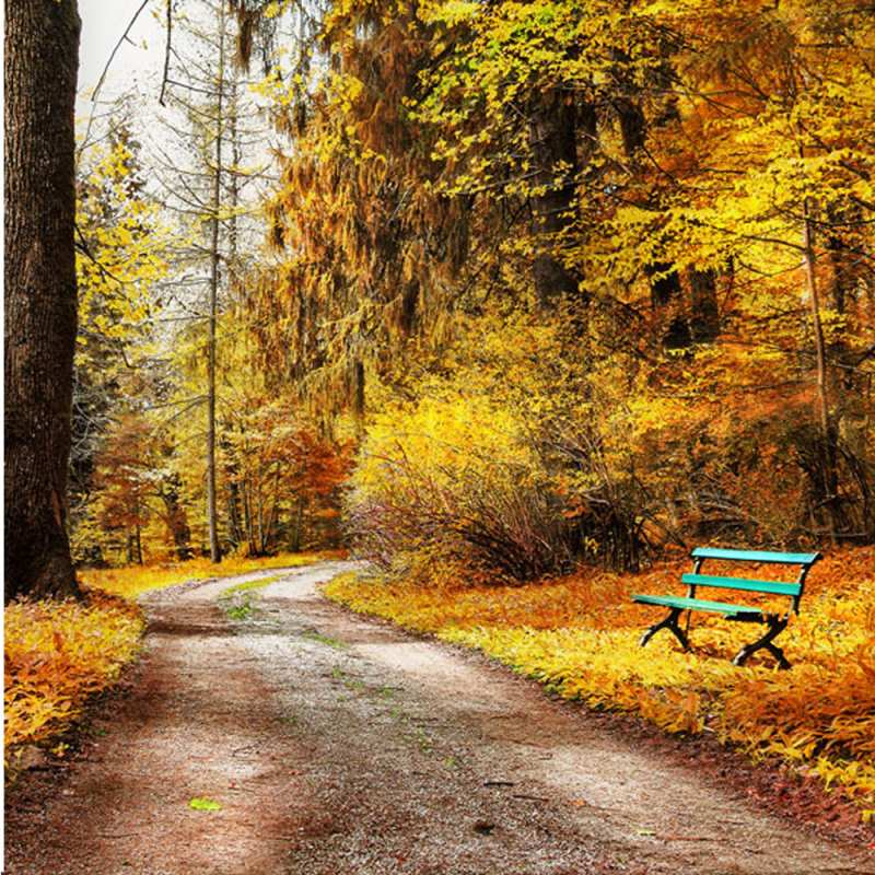 Картинка Не грусти, все будет хорошо, Сабина