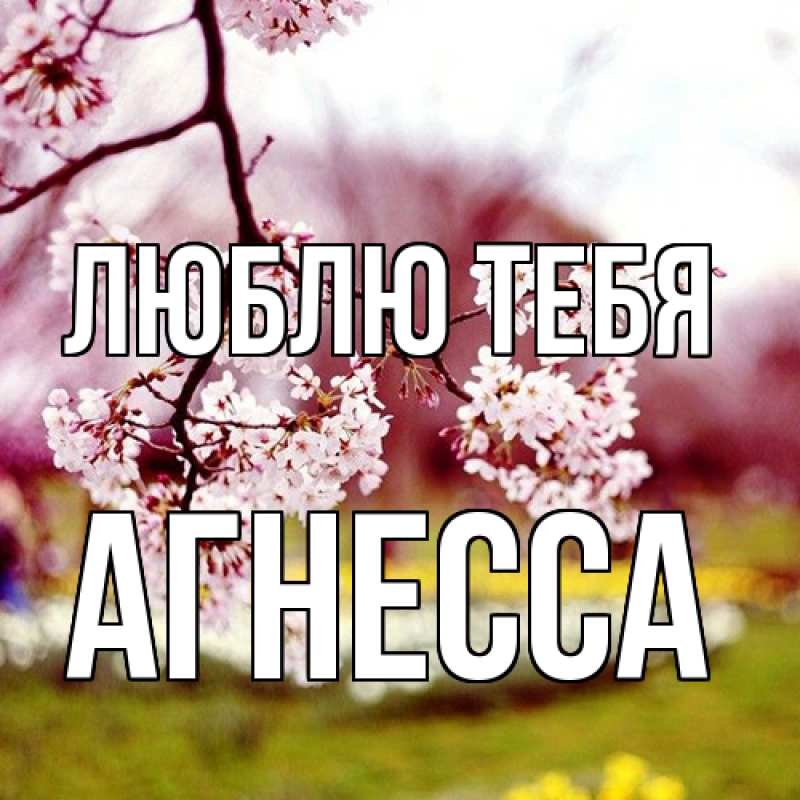 Картинка Люблю тебя, Агнесса