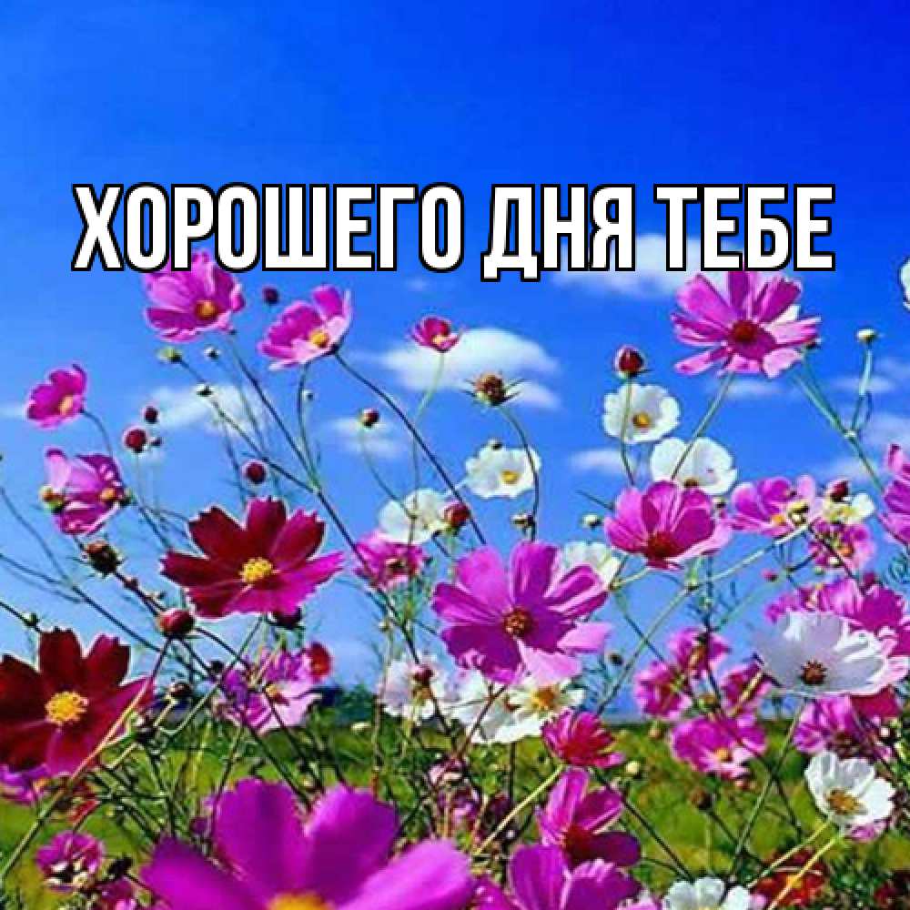 Открытка на каждый день с именем, Родной Люблю тебя цветы Прикольная открытка с пожеланием онлайн скачать бесплатно 