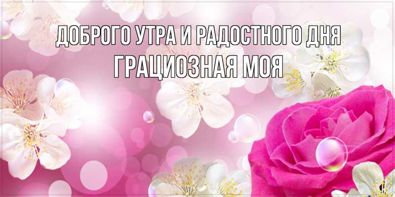 Картинка Доброго утра и радостного дня, Грациозная моя