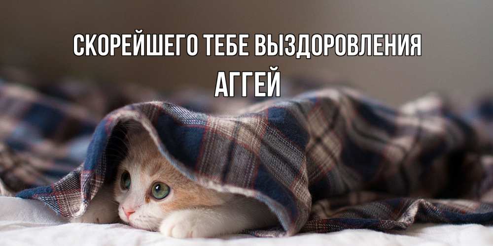 Открытка на каждый день с именем, Аггей Скорейшего тебе выздоровления не болейте с котиком Прикольная открытка с пожеланием онлайн скачать бесплатно 