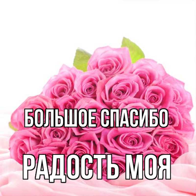 Картинка Большое спасибо, Радость моя