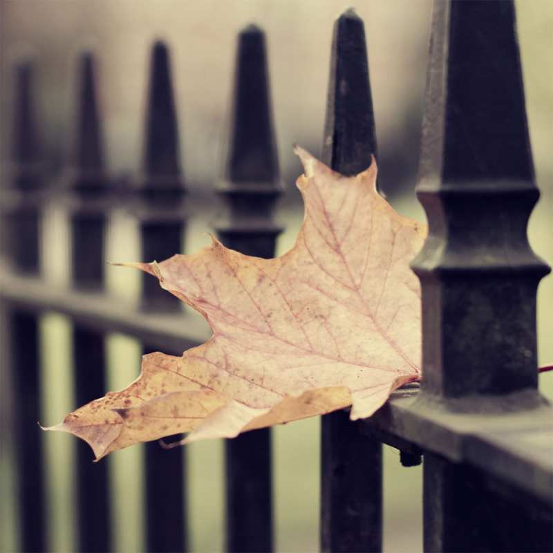 Картинка Скучашки, Богдан