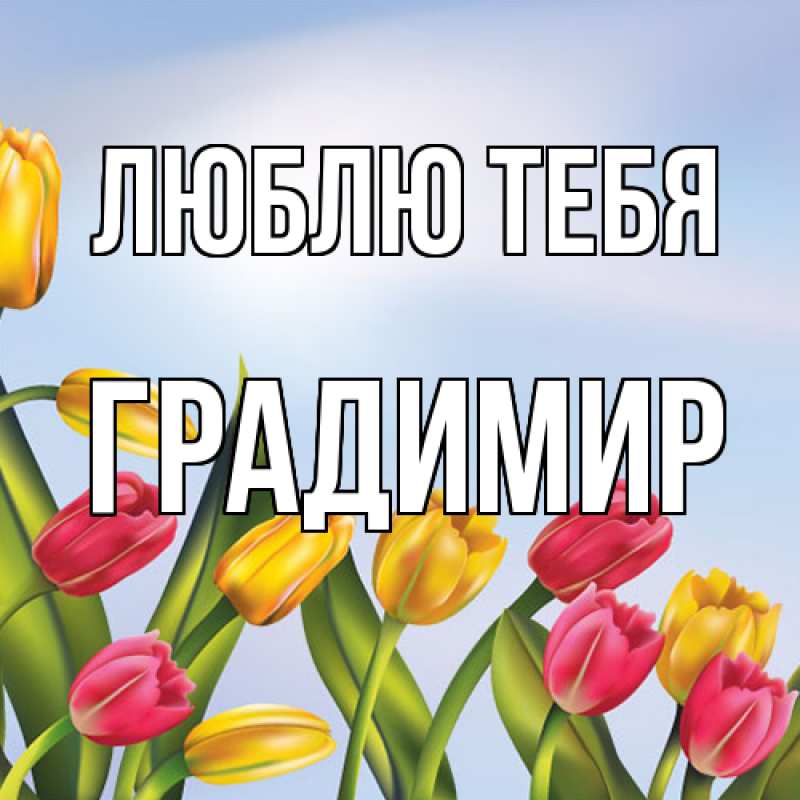 Картинка Люблю тебя, Градимир