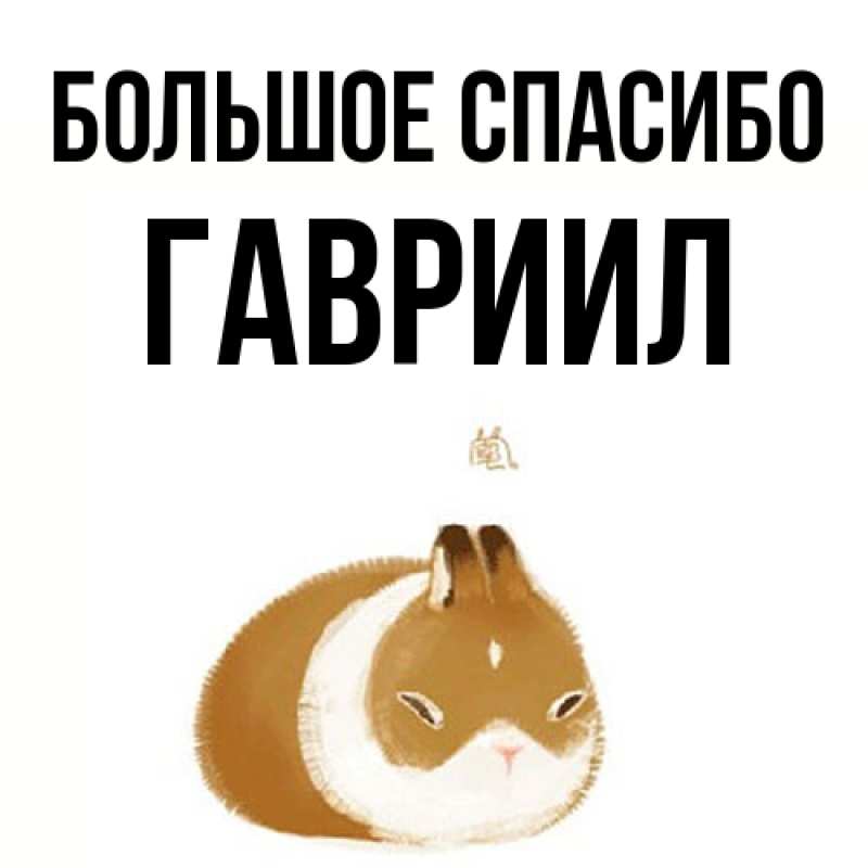 Картинка Большое спасибо, Гавриил