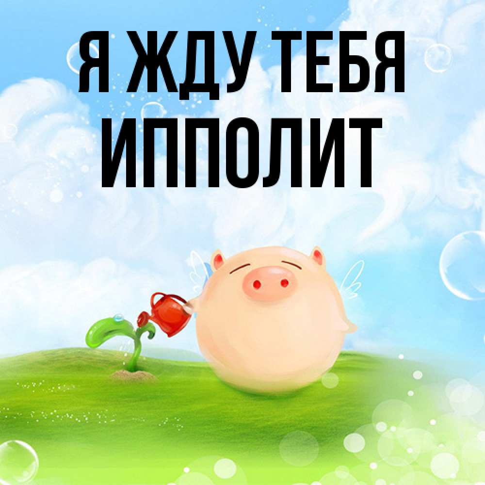 Открытка на каждый день с именем, Ипполит Я жду тебя позитивная свинюшка Прикольная открытка с пожеланием онлайн скачать бесплатно 