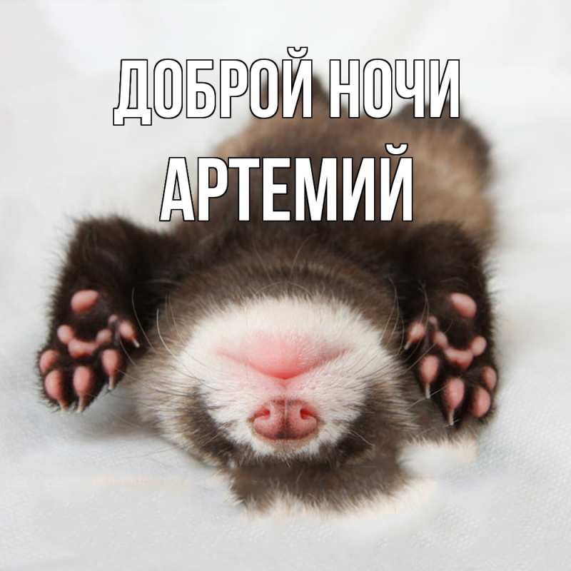 Картинка Доброй ночи, Артемий