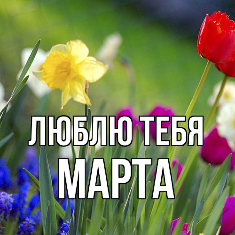 Картинка Люблю тебя, Марта