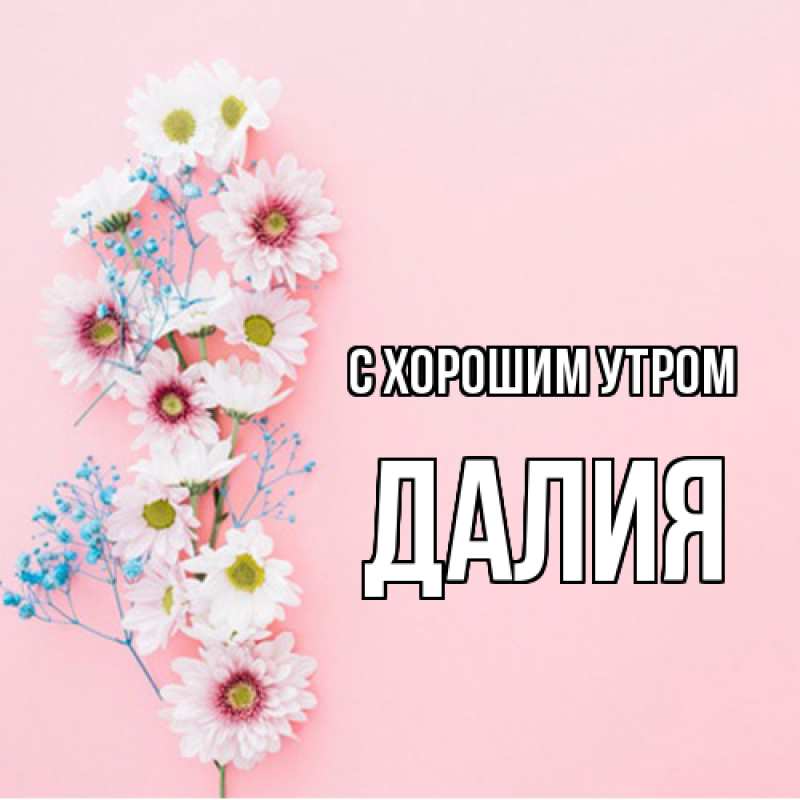 Картинка С хорошим утром, Далия