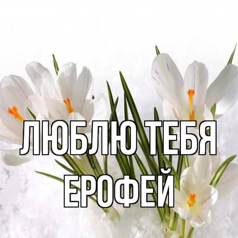 Открытка с именем, Ерофей, Люблю тебя