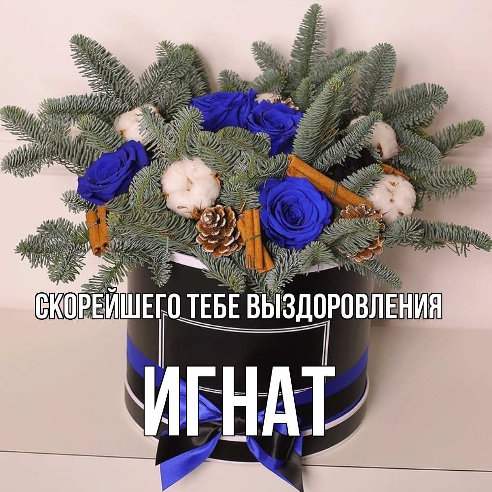 Открытка на каждый день с именем, Игнат Скорейшего тебе выздоровления короче кто то загрузил эти шишки Прикольная открытка с пожеланием онлайн скачать бесплатно 