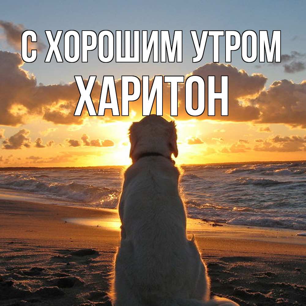 Открытка на каждый день с именем, Харитон С хорошим утром восход солнца Прикольная открытка с пожеланием онлайн скачать бесплатно 