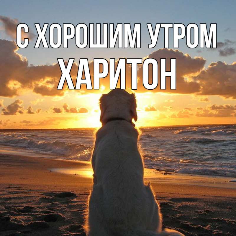 Картинка С хорошим утром, Харитон