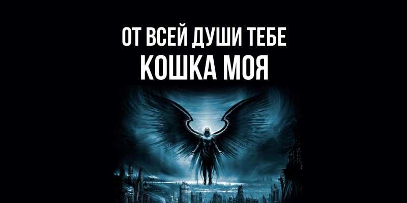 Картинка От всей души тебе, Кошка моя