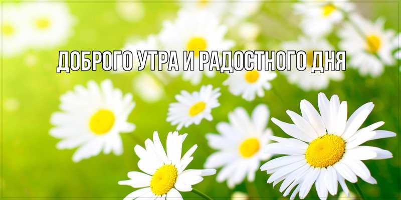Картинка Доброго утра и радостного дня, 