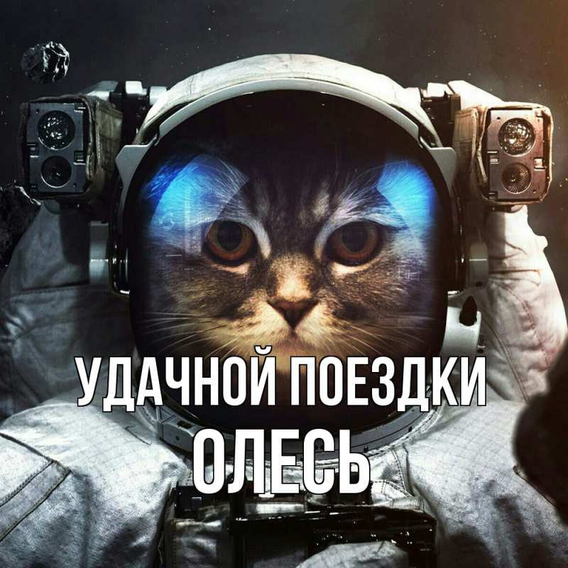 Картинка Удачной поездки, Олесь