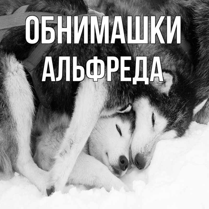 Картинка Обнимашки, Альфреда