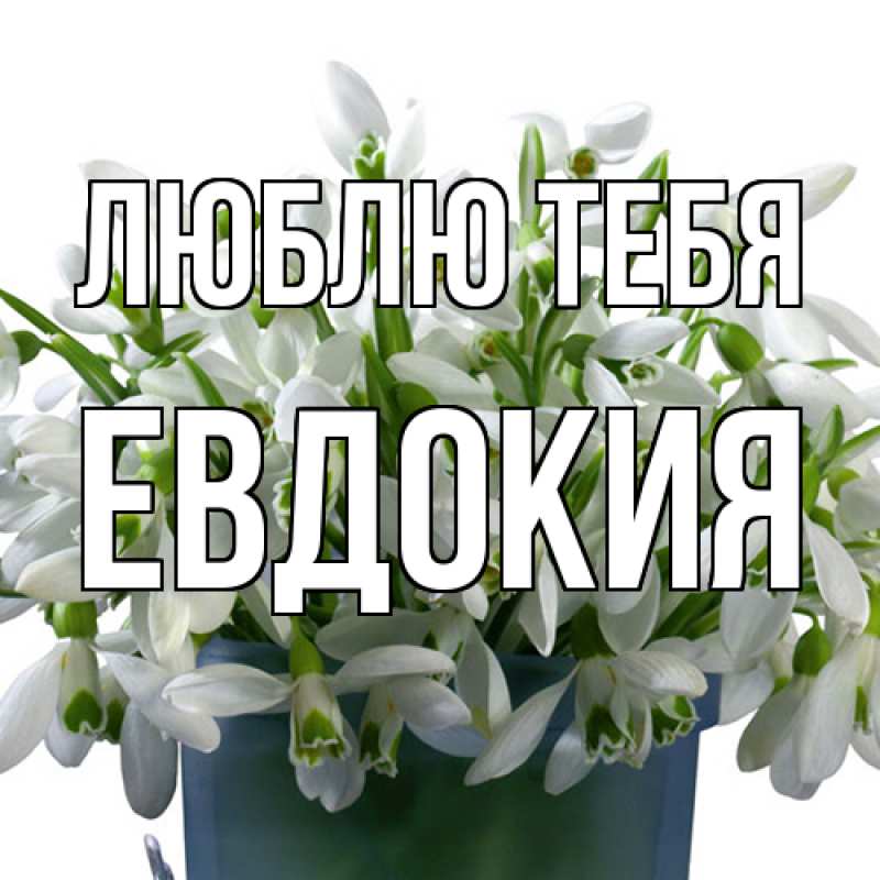 Картинка Люблю тебя, Евдокия